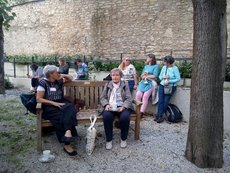 JT_Regensburg_c_Renate_Moellmann_012