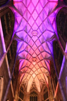 Freiburg_2023_Schlepphorst_125