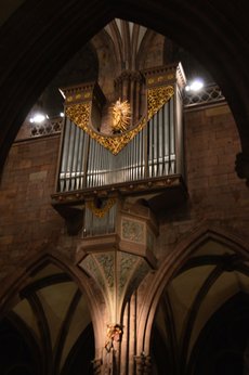 Freiburg_2023_Schlepphorst_115