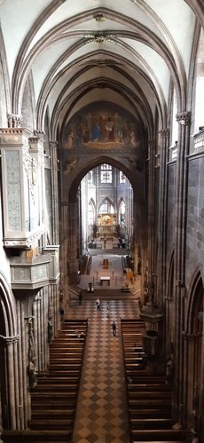 Freiburg_2023_Schlepphorst_61