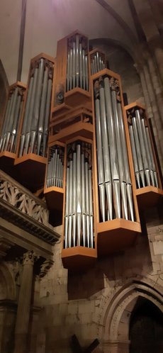 Freiburg_2023_Schlepphorst_19