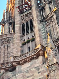 Freiburg_2023_Duffing_2