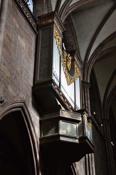 Freiburg_2023_Schlepphorst_89