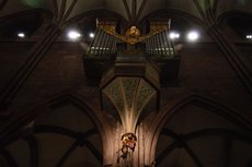 Freiburg_2023_Schlepphorst_111