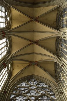 Freiburg_2023_Schlepphorst_126