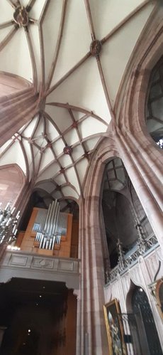 Freiburg_2023_Schlepphorst_78