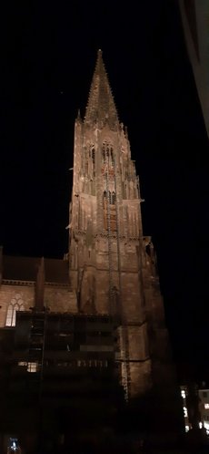 Freiburg_2023_Schlepphorst_3