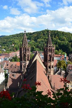 Freiburg_2023_Schlepphorst_94