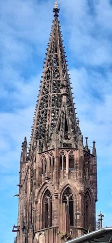 Freiburg_2023_Schlepphorst_54