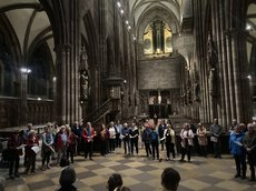 Freiburg_2023_Schaller-Pressler_77