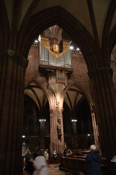 Freiburg_2023_Schlepphorst_114