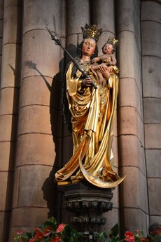 Freiburg_2023_Schlepphorst_90