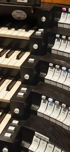 Freiburg_2023_Schlepphorst_74