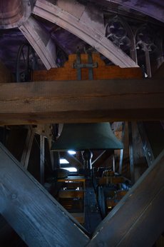 Freiburg_2023_Schlepphorst_97