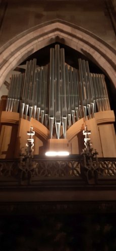 Freiburg_2023_Schlepphorst_21