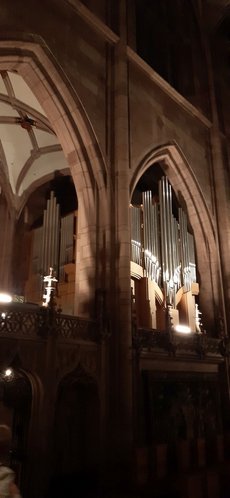 Freiburg_2023_Schlepphorst_25