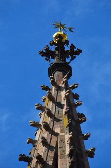 Freiburg_2023_Schlepphorst_92