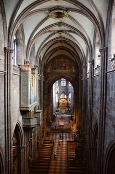 Freiburg_2023_Schlepphorst_102