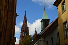 Freiburg_2023_Schlepphorst_84