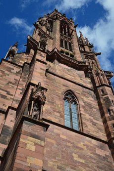 Freiburg_2023_Schlepphorst_87